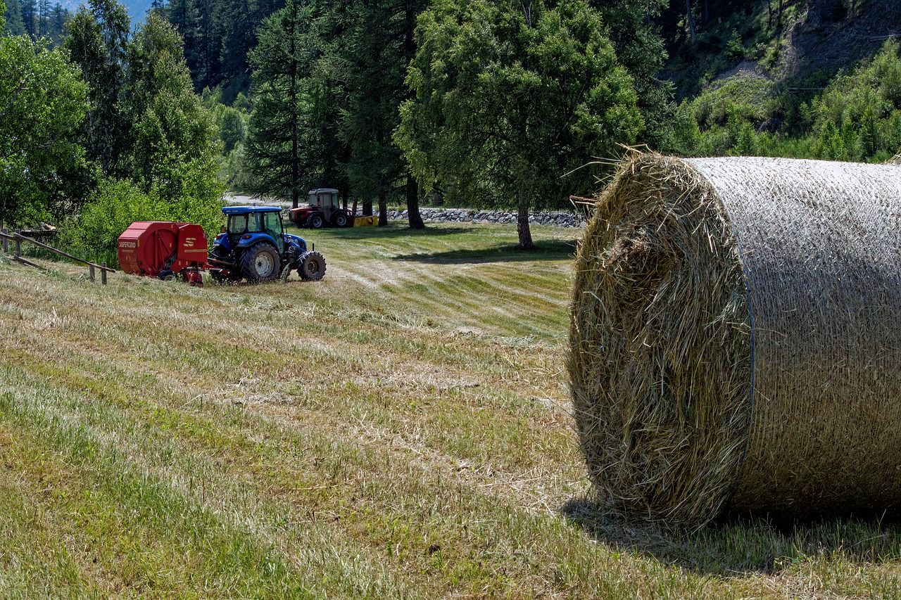 Pénz érkezik a termelőknek, az Agrárminisztérium a Vidékfejlesztési Program keretében meghirdetett felhívások kapcsán újabb 171 kérelem vonatkozásában 10,84 milliárd forint értékben hozott támogatói döntéseket