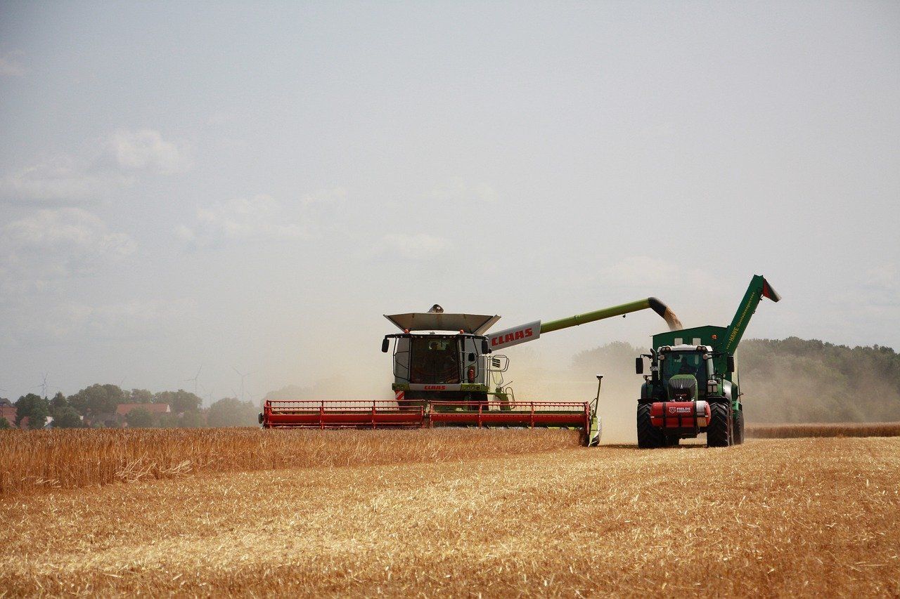 Az amerikai-kínai viszony és a brazil agárexport idei képességei miatt esett a Kínába irányuló amerikai élelmiszer- és agrárcikk-kivitel. Eközben más piacokon erősített az Egyesült Államok.