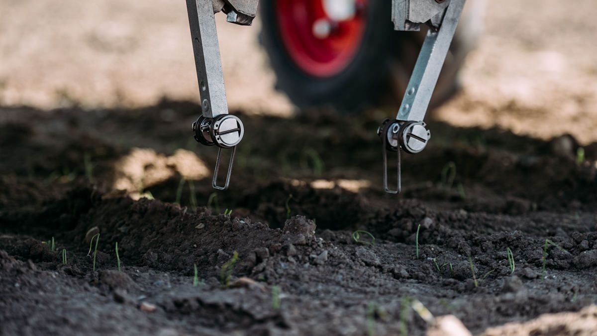 A robot gyomirtó feladatokat végez - Fotó: Ekobot