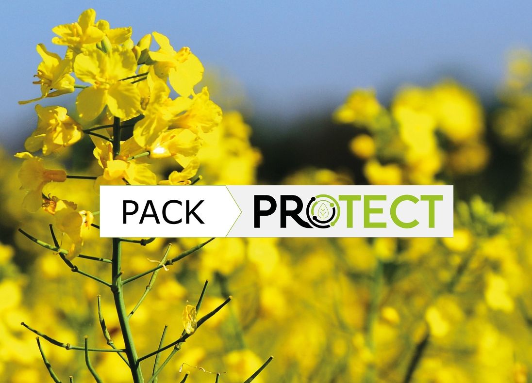 Lidea repce Pack Protect