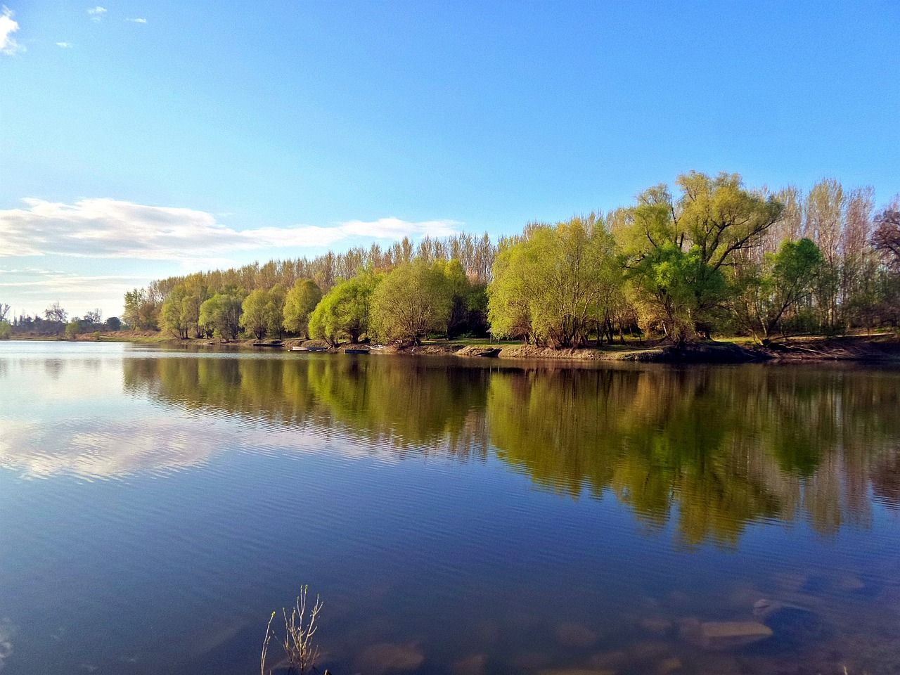 A Dunai Természetes és Természetszerű Szigetek (Danube Wild Islands) egy nyolc országra kiterjedő nemzetközi Regionális Ramsari Területi Kezdeményezésként a Ramsari Egyezmény védelme alá kerültek