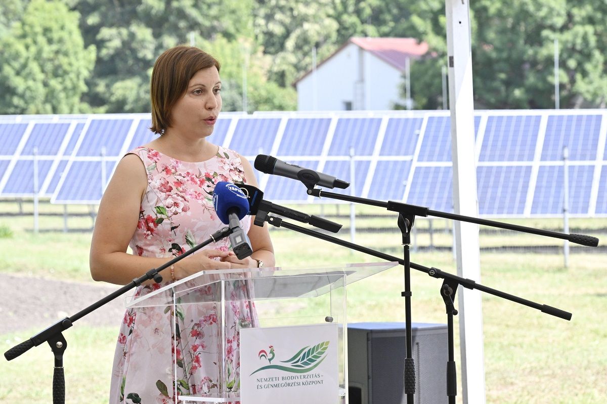 Baktay Borbála, a Nemzeti Biodiverzitás- és Génmegőrzési Központ főigazgatója elmondta, hogy a tápiószelei génbank teljes körű génbanki tevékenységet végez, ami megőrzés, gyűjtés, felszaporítás, dokumentálás és közreadás - Fotó: MTI/Lakatos Péter