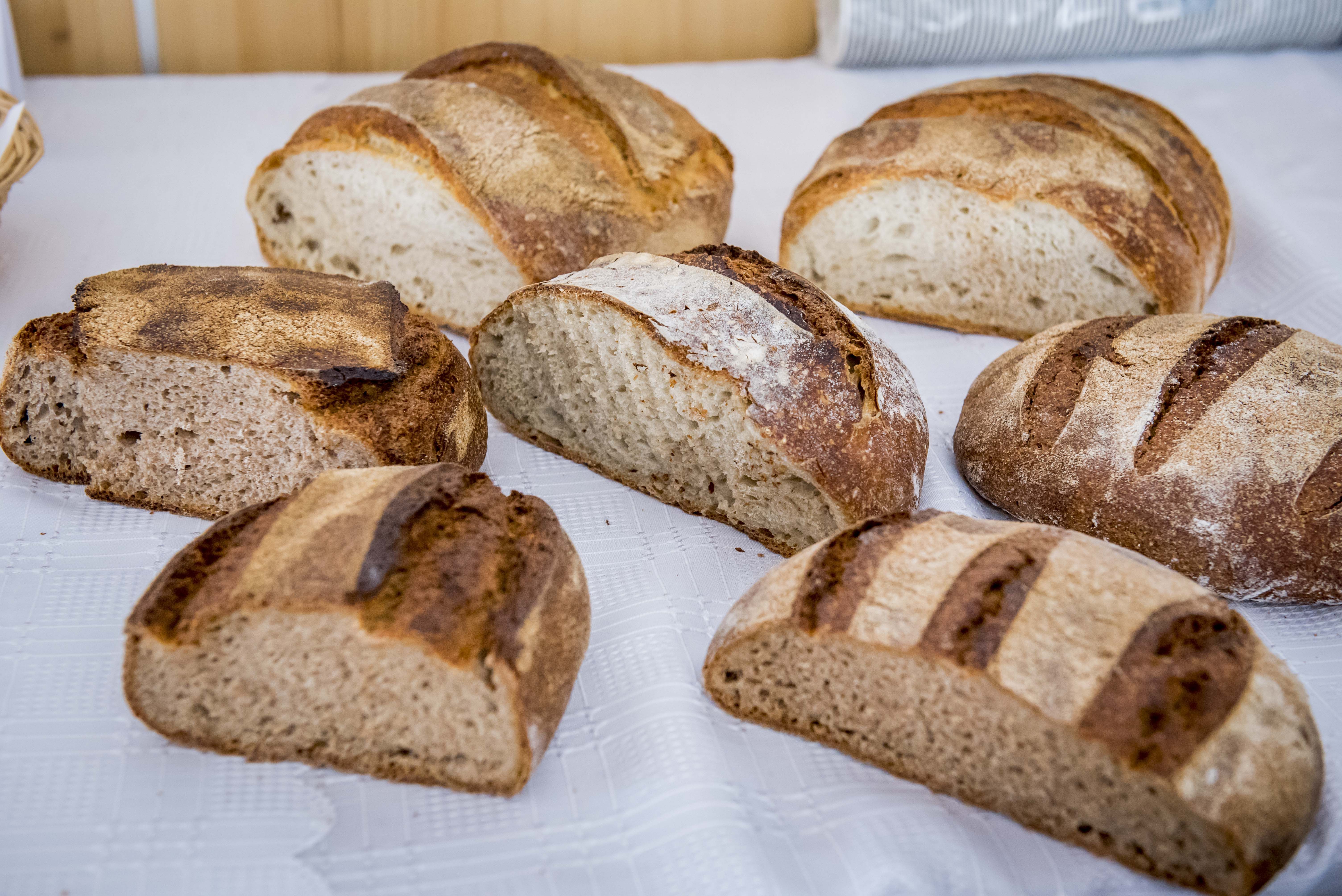 Az Ökológiai Mezőgazdasági Kutatóintézet munkatársai és partnerei szakmai napot szervezek Száron, hogy a piac szakmai szereplői, gazdák, molnárok és pékek, valamint a kutatók találkozzanak - Fotó: ÖMKi