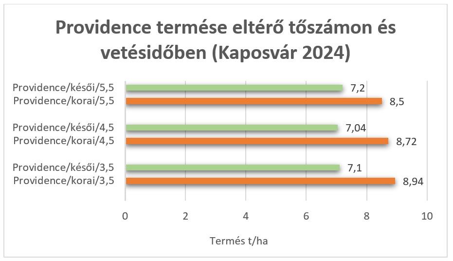 Providence termése eltérő tőszámon és vetésidőben (Kaposvár 2024)