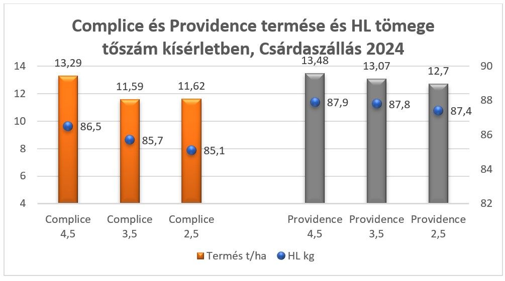 Complice és Providence termése és HL tömege tőszám kísérletben, Csárdaszállás 2024