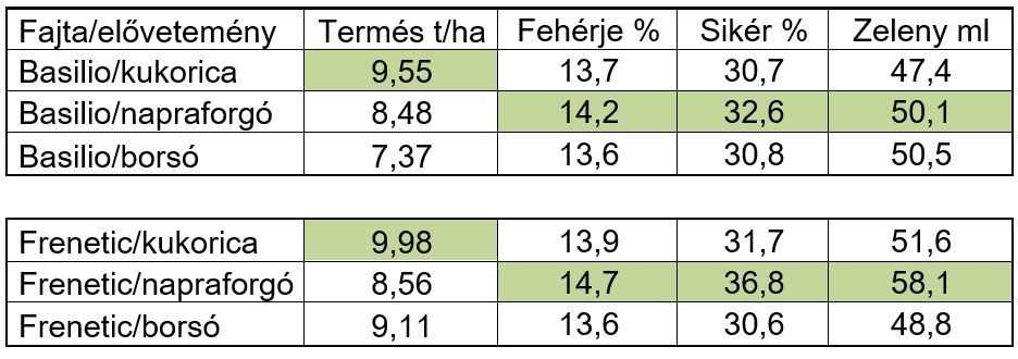 Csárdaszállás teljesítmény kísérlet eltérő elővetemények után 2024.