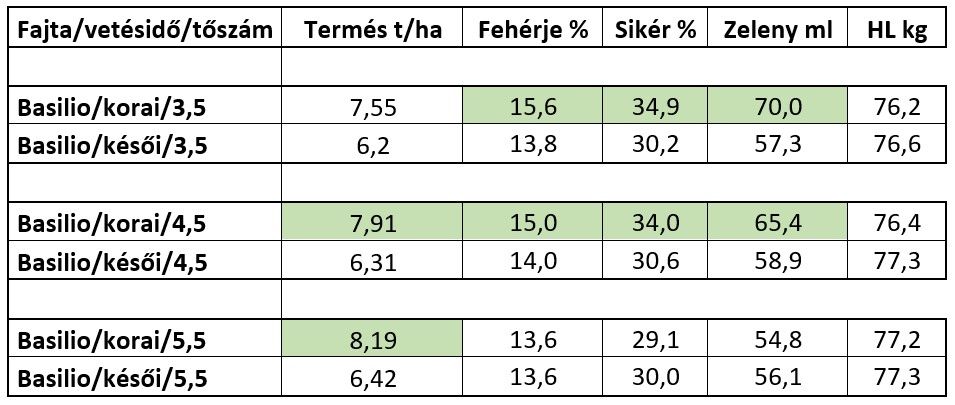 Basilio termése és minősége eltérő tőszámon és vetésidőben, Kaposvár 2024