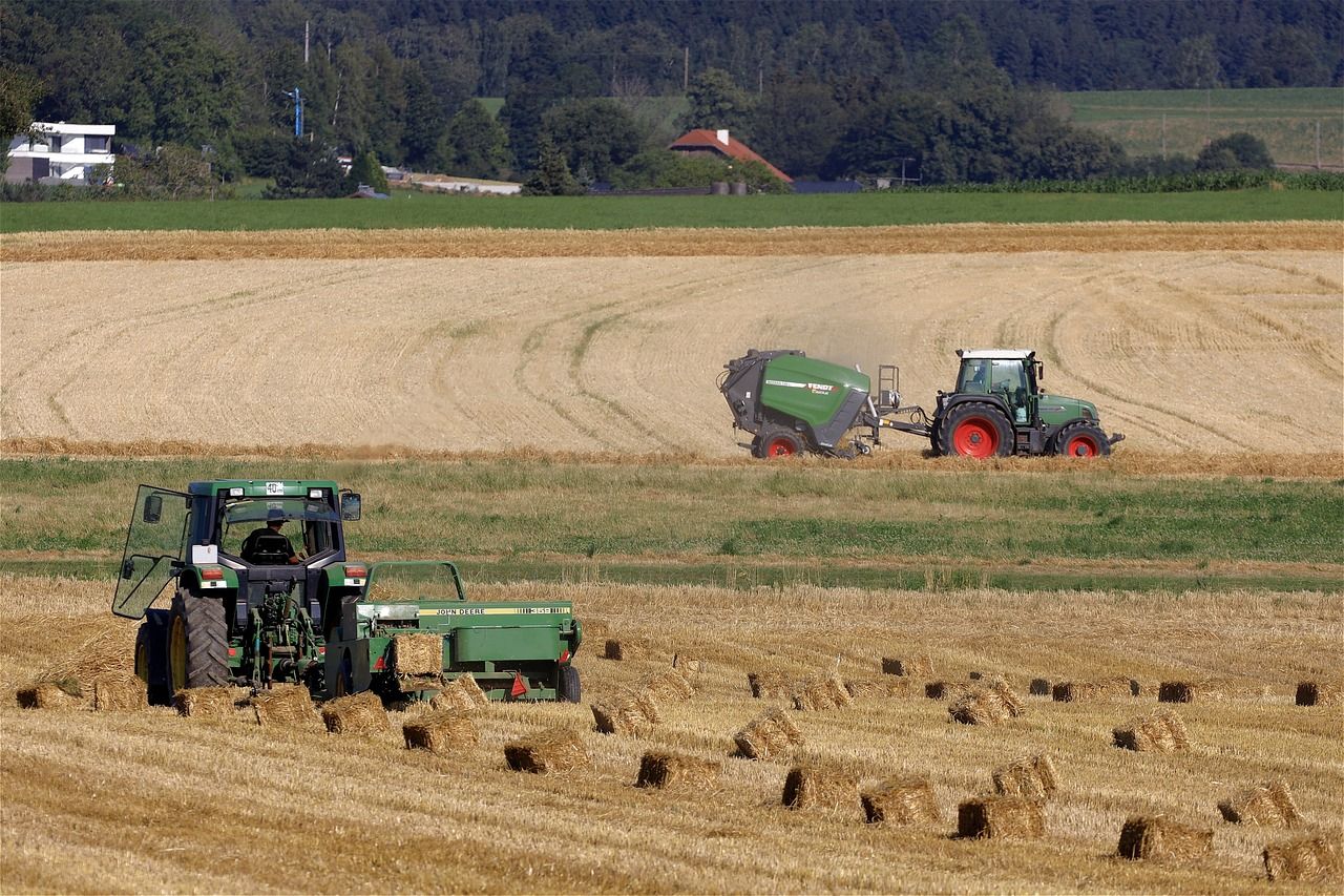 Köteles-e visszamenőleg elszámolni a betegszabadságot és a táppénzt, amikor a munkavállaló bejelentés nélkül újra megjelenik a munkahelyen, és viszi az orvosi igazolást?