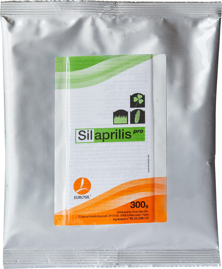 Silapiris pro