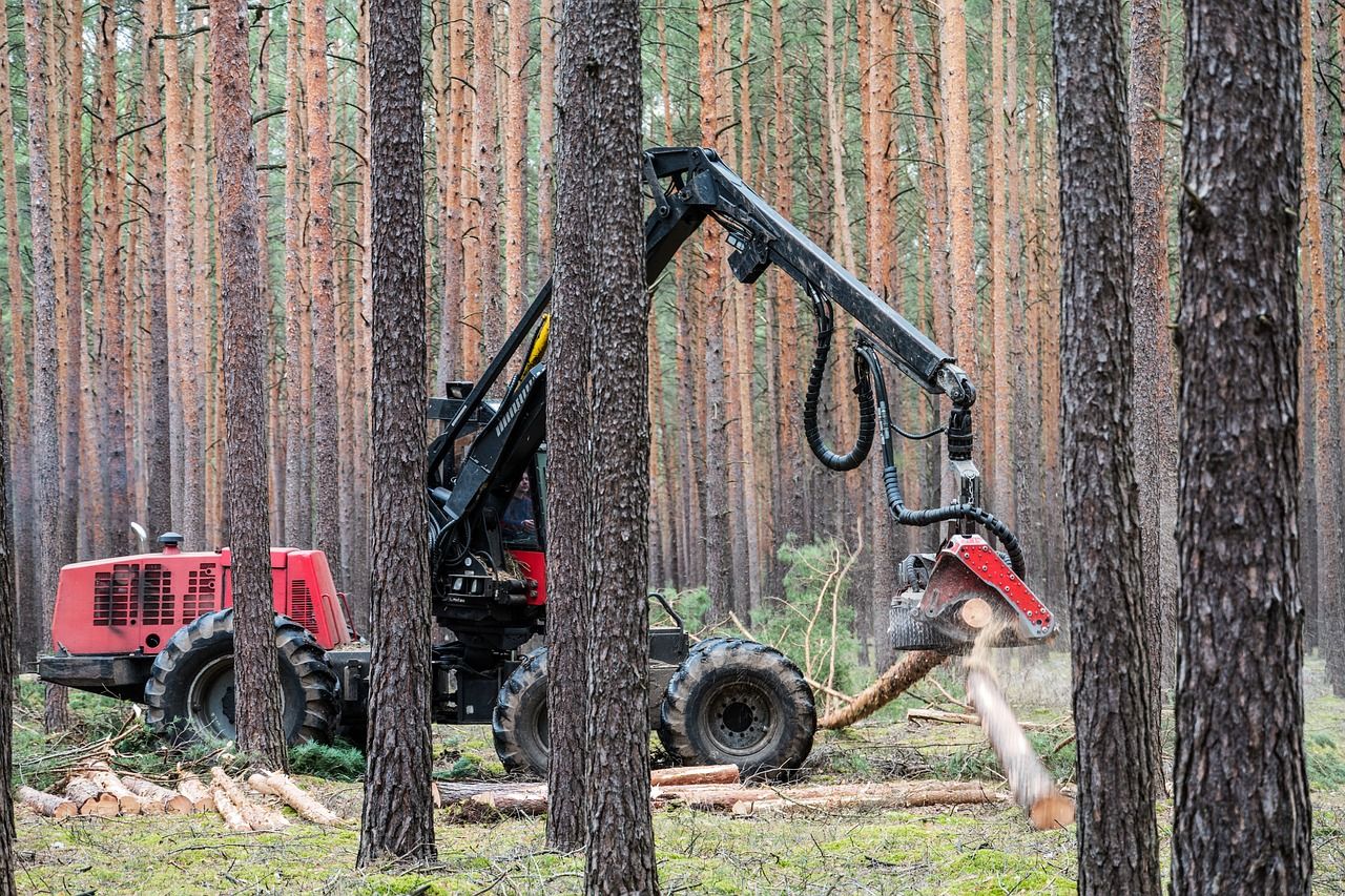 A „Natura 2000 erdőterületeknek nyújtott kompenzációs kifizetések” (VP4-12.2.1-16) támogatási felhívásnál meghosszabbították a képzési kötelezettség teljesítésére rendelkezésre álló időszakot.