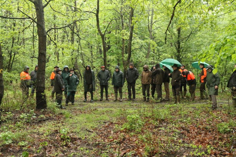 A LIFE4OakForests projekt természetvédelmi erdőkezelési koncepcióját kidolgozó erdész és erdőökológus szakemberek egy új rendszert alakítottak ki