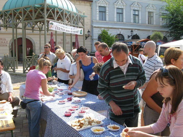 A Váci Zöld Fesztivál célja évről évre ugyanaz, a helyi és a környezetkímélő termékeket, szolgáltatásokat népszerűsítik a rendezvény során, idén is sokrétű programmal készülnek a szervezők