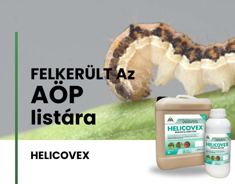 Helicovex