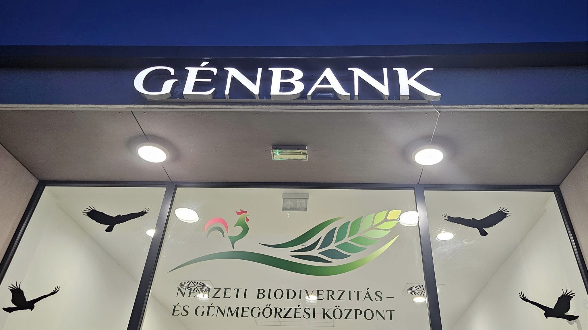 A Nemzeti Biodiverzitás- és Génmegőrzési Központ az országos szántóföldi- és zöldségnövénygénbank-gyűjteményét őrzi és fejleszti, agrobotanikai vizsgálatokat végez és dokumentál - Fotó: FB