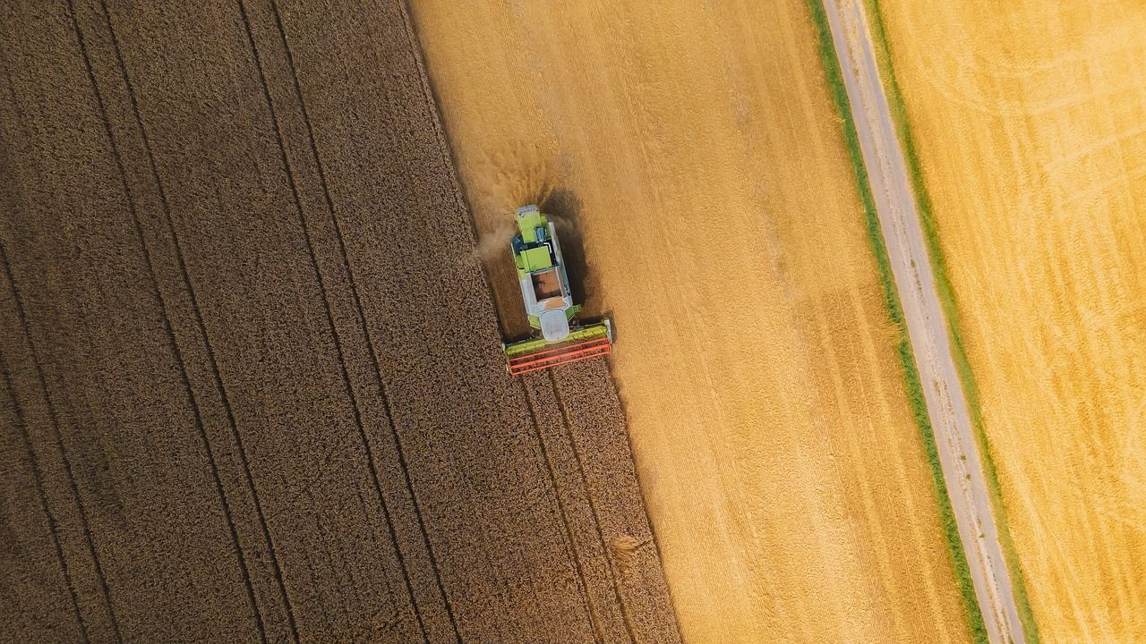 Tesznek az élelmiszerpazarlás ellen: tudatosabb fogyasztói magatartással csökkenthető a hulladék mennyisége.