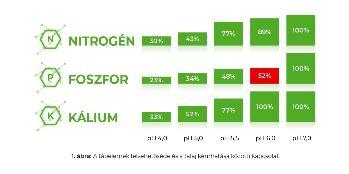 A tápelemek felvehetősége és a talaj kémhatása közötti kapcsolat