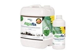 Algafix