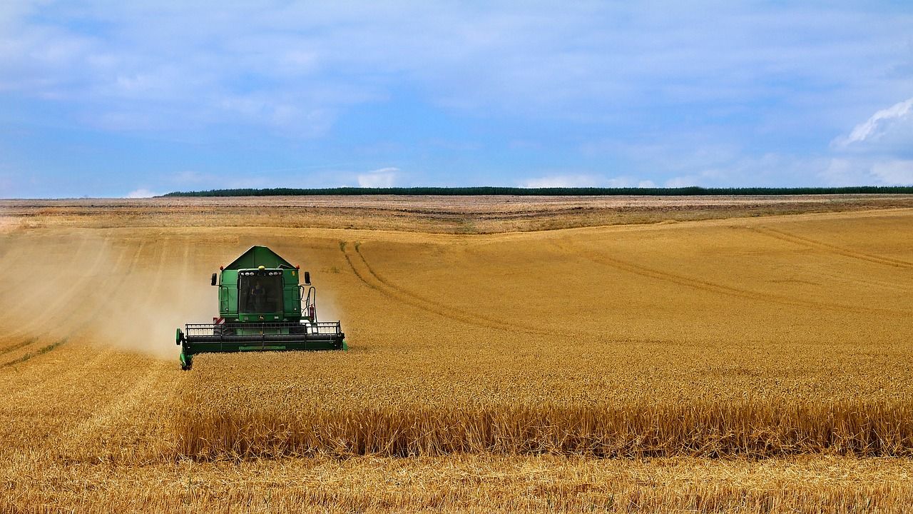 Az ERSTE agrárszakértője, Fórián Zoltán írta meg, mit üzen a dél-európai gabonatermesztés a hazai gazdáknak