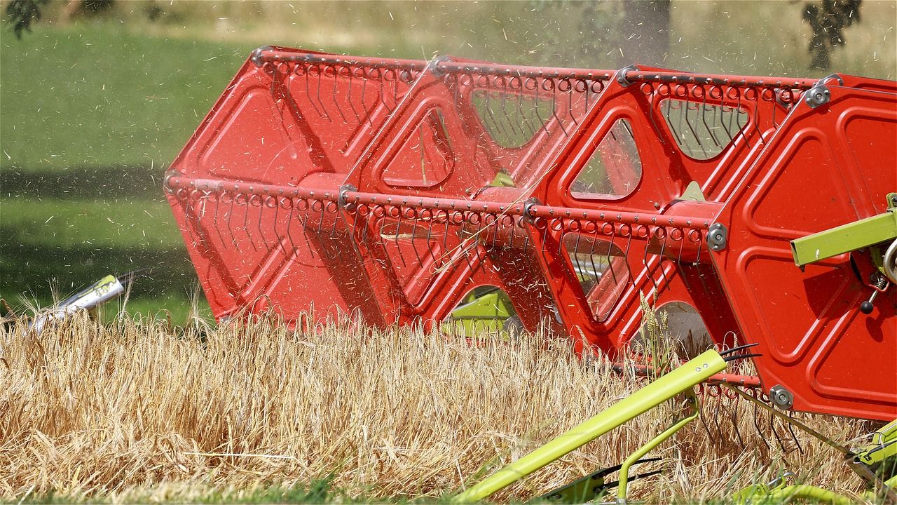 A magyar agrárgazdaság teljesítményéről közölt adatokat és trendeket az Agrárminisztérium