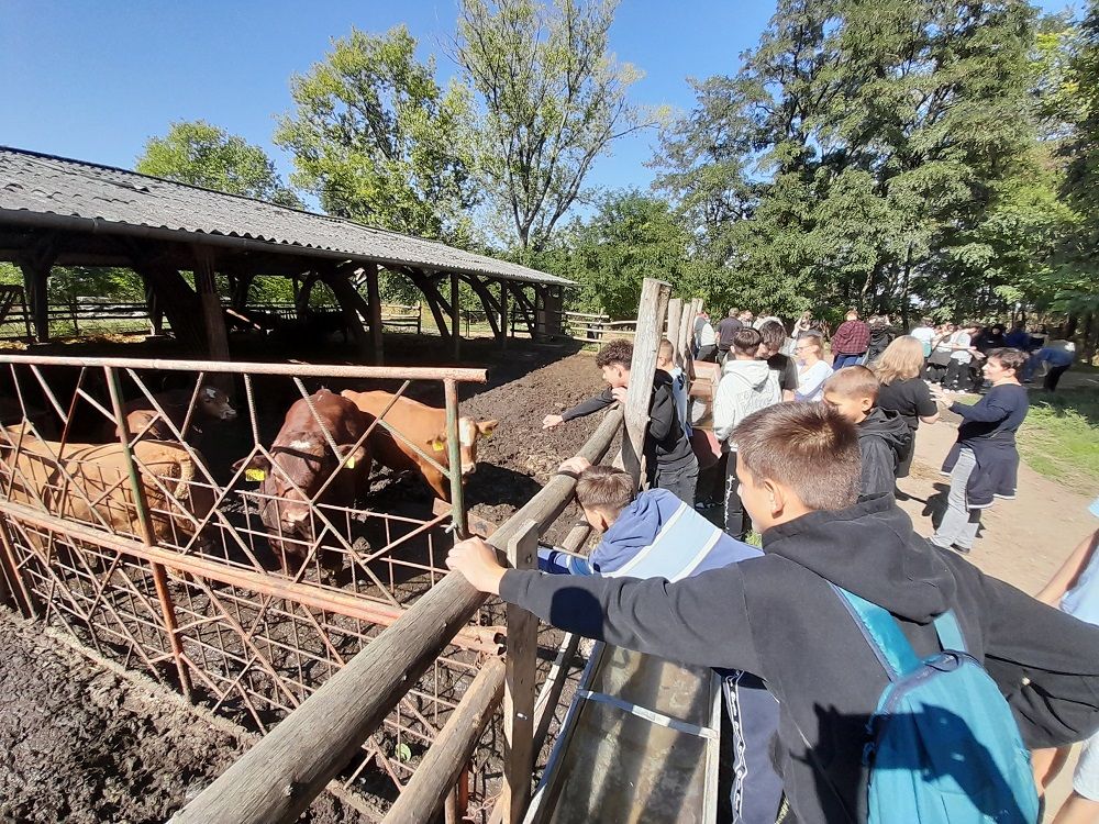 Több partnerével együttműködve mutatták be a Nemzeti Agrárgazdasági Kamara szakemberei közel négyezer általános iskolásnak az agrárszakmákban található munka- és továbbtanulási lehetőségeket