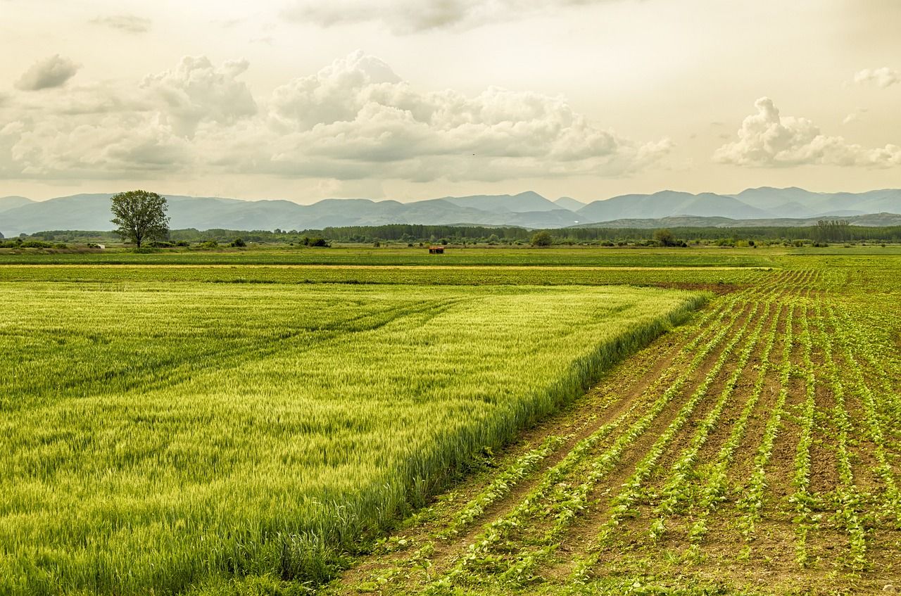 Megjelent a KAP Nemzeti Irányító Hatóság 58/2024. számú közleménye az „Agrár-környezetgazdálkodási kifizetések (AKG)” című (KAP-RD19a-1-24 kódszámú) felhívás módosításáról, sok részletet változtattak meg