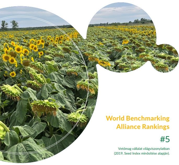 World Benchmarking Alliance Rankings