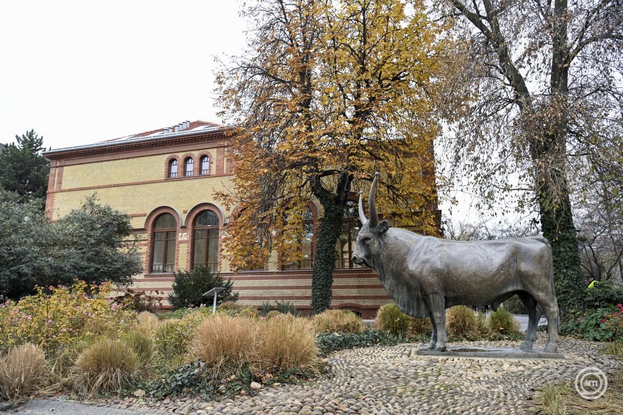 Összesen 7,3 milliárd forintból újult meg az Állatorvostudományi Egyetem campusának három épülete - Fotó: MTI/Koszticsák Szilárd