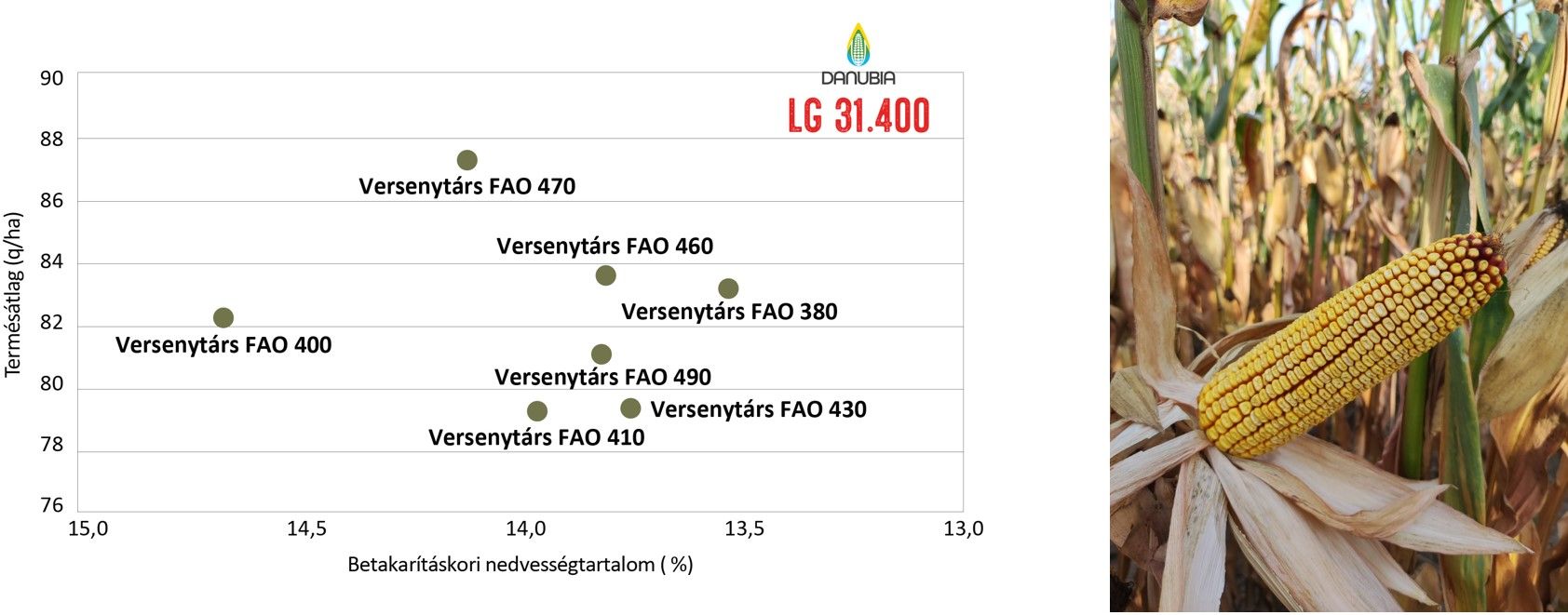 Limagrain kisparcellás fejlesztői kísérletek  2024. Magyarország 10 helyszín