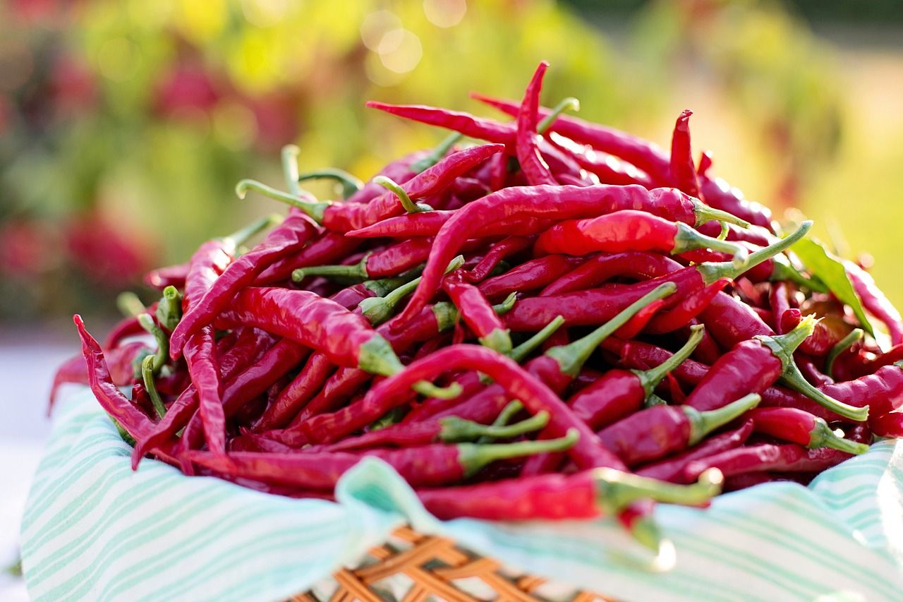 cayenne-bors_cayenne-peppers