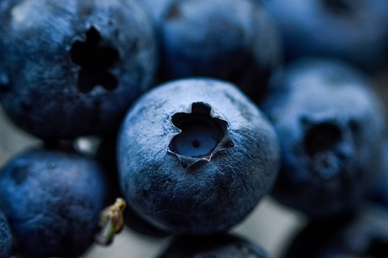 áfonya_blueberries