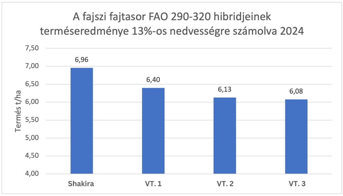 Az Agromag Shakira kukoricahibrid fajszi fajtasorban elért eredménye 2024