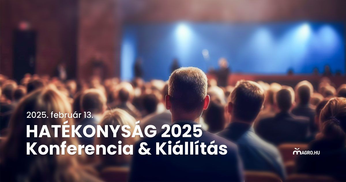 HATÉKONYSÁG Konferencia