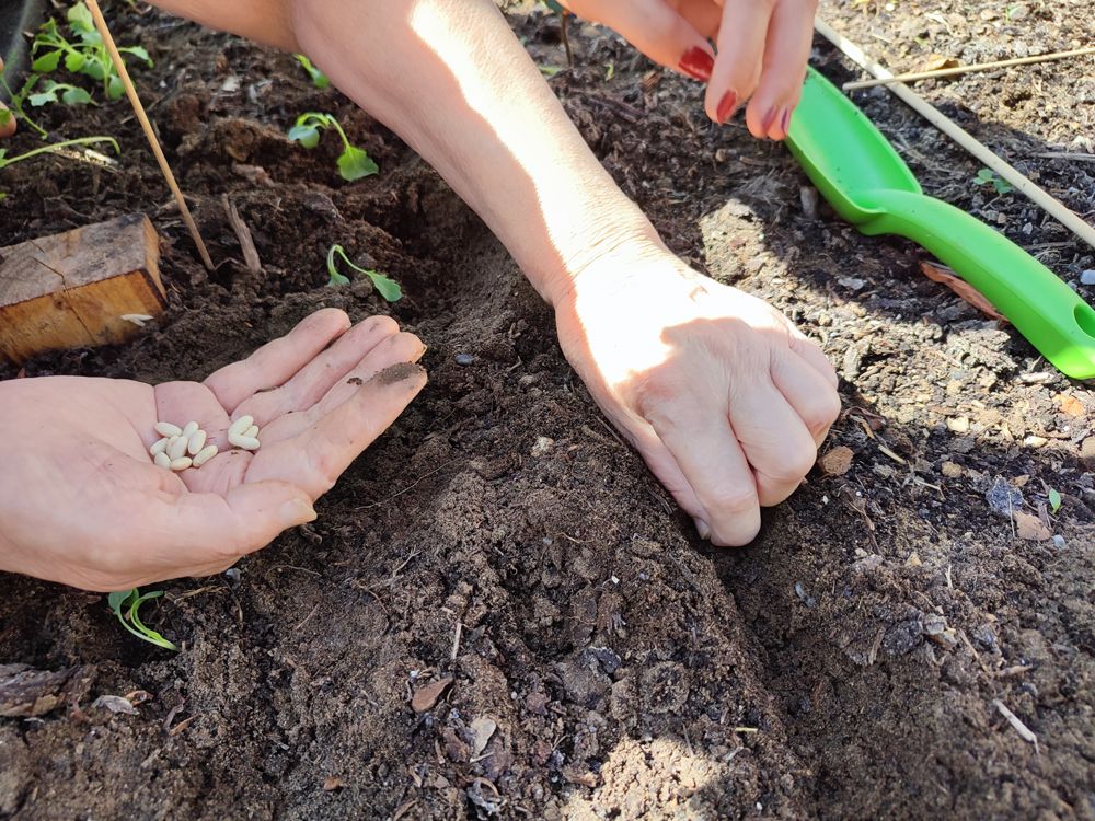 Hiánypótló tudás érkezett Magyarországra a kertterápia témakörében, a Hortus Medicus Erasmus+ projekt jóvoltából - Fotó: Villányi Emőke