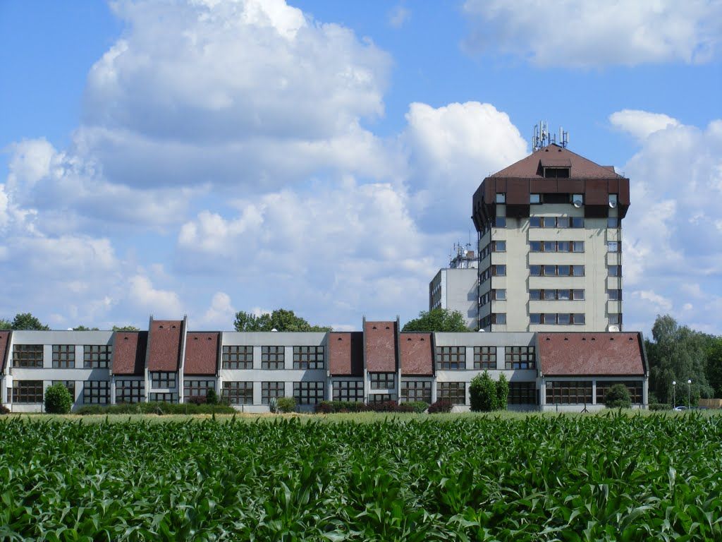 Egyre magasabban jegyzik számos hazai és nemzetközi rangsorban a Magyar Agrár- és Élettudományi Egyetemet, ezáltal a keszthelyi Georgikon Campust is