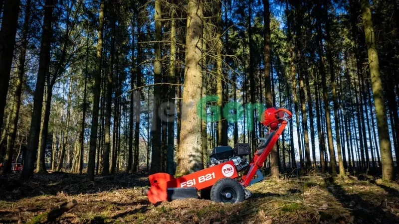 Eladó FSI B21 tuskómaró