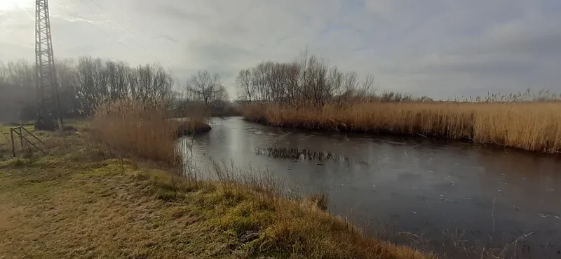 Kiadó telek