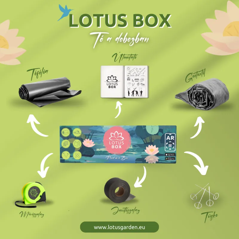 Lotus Box - Tó a dobozban - L méret