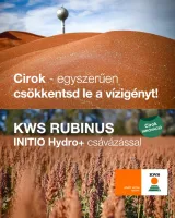 KWS RUBINUS szemes cirok vetőmag, korai érésű, vörös szemű