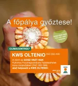 KWS OLTENIO (FAO 350-400) szemes kukorica vetőmag