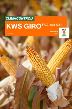 KWS GIRO (FAO 450-500) szemes kukorica vetőmag